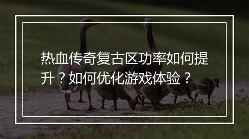 热血传奇复古区功率如何提升？如何优化游戏体验？