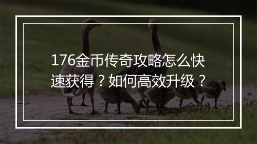 176金币传奇攻略怎么快速获得？如何高效升级？