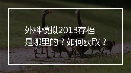 外科模拟2013存档是哪里的？如何获取？