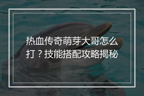 热血传奇萌芽大哥怎么打？技能搭配攻略揭秘
