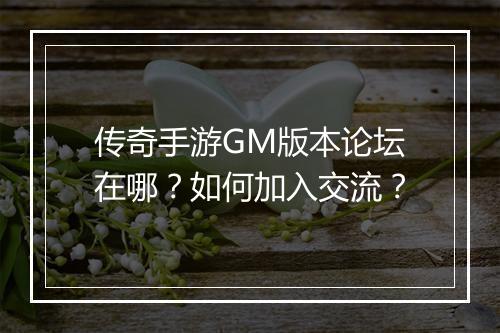 传奇手游GM版本论坛在哪？如何加入交流？
