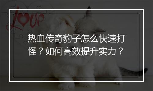 热血传奇豹子怎么快速打怪？如何高效提升实力？