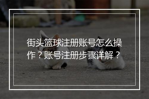 街头篮球注册账号怎么操作？账号注册步骤详解？
