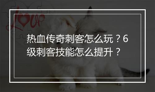 热血传奇刺客怎么玩？6级刺客技能怎么提升？