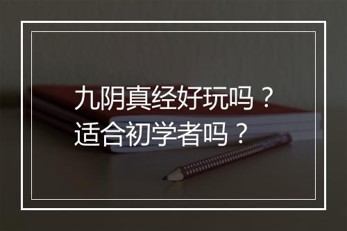 九阴真经好玩吗？适合初学者吗？