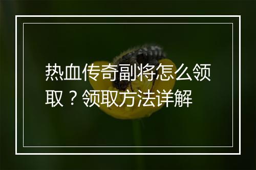 热血传奇副将怎么领取？领取方法详解