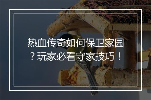 热血传奇如何保卫家园？玩家必看守家技巧！
