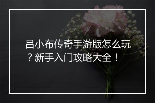 吕小布传奇手游版怎么玩？新手入门攻略大全！