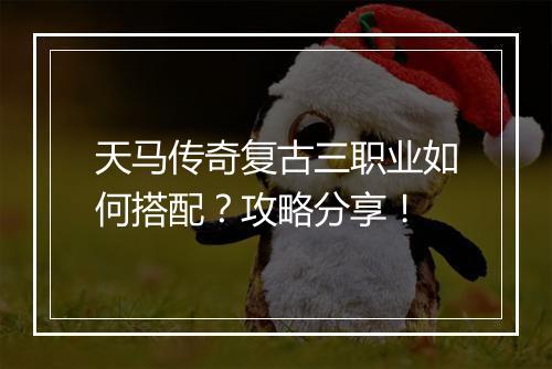天马传奇复古三职业如何搭配？攻略分享！