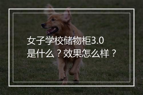 女子学校储物柜3.0是什么？效果怎么样？