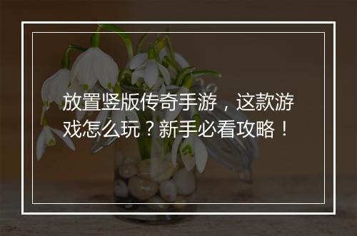 放置竖版传奇手游，这款游戏怎么玩？新手必看攻略！
