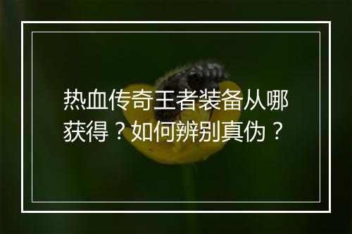 热血传奇王者装备从哪获得？如何辨别真伪？