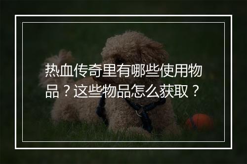 热血传奇里有哪些使用物品？这些物品怎么获取？