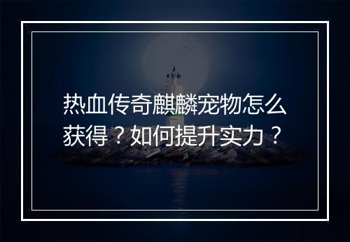 热血传奇麒麟宠物怎么获得？如何提升实力？