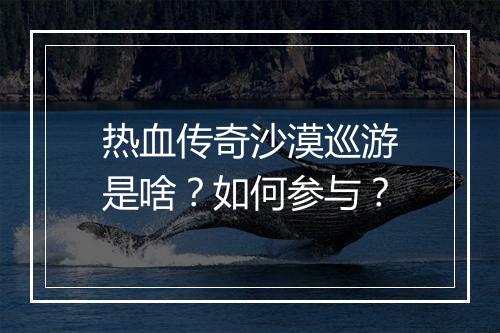热血传奇沙漠巡游是啥？如何参与？