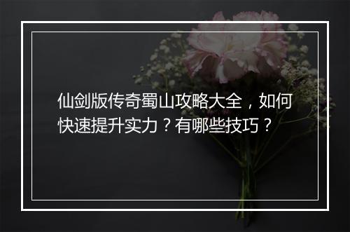 仙剑版传奇蜀山攻略大全，如何快速提升实力？有哪些技巧？