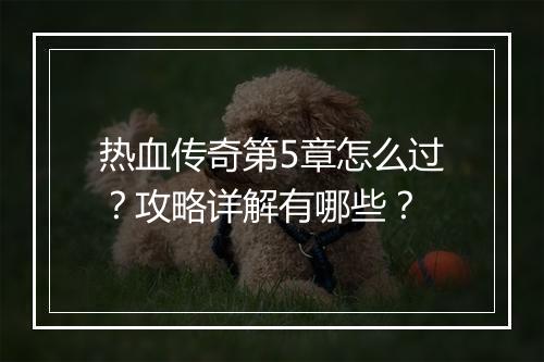 热血传奇第5章怎么过？攻略详解有哪些？