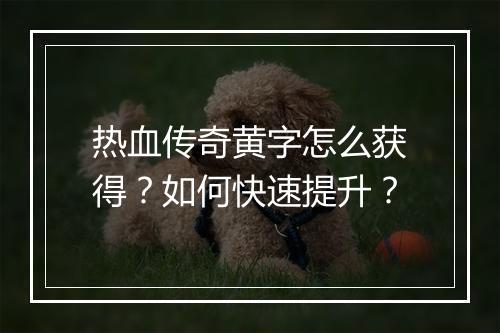 热血传奇黄字怎么获得？如何快速提升？
