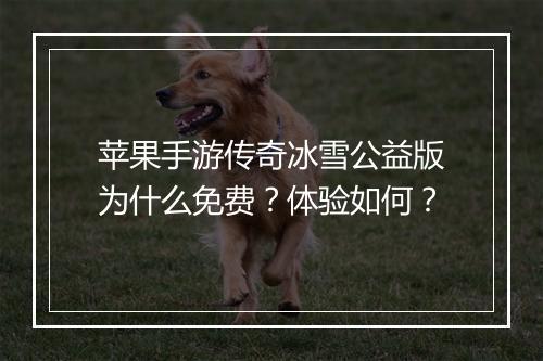 苹果手游传奇冰雪公益版为什么免费？体验如何？