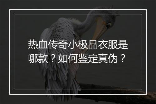 热血传奇小极品衣服是哪款？如何鉴定真伪？