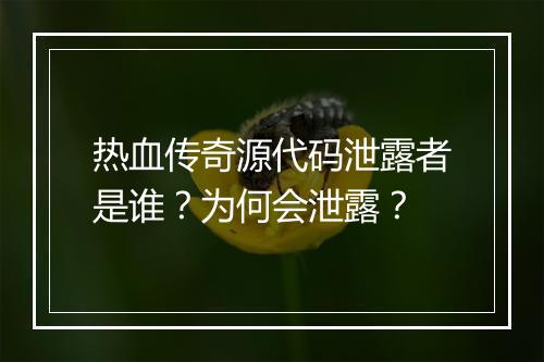 热血传奇源代码泄露者是谁？为何会泄露？