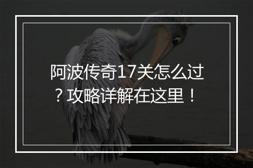 阿波传奇17关怎么过？攻略详解在这里！