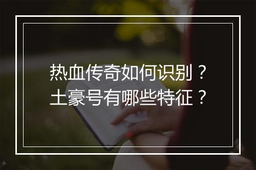 热血传奇如何识别？土豪号有哪些特征？