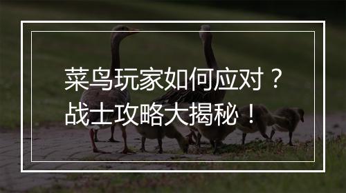 菜鸟玩家如何应对？战士攻略大揭秘！