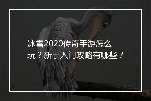冰雪2020传奇手游怎么玩？新手入门攻略有哪些？