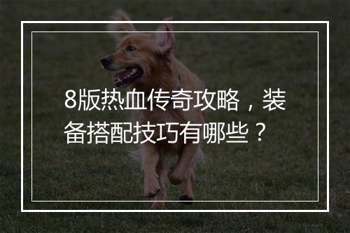 8版热血传奇攻略，装备搭配技巧有哪些？