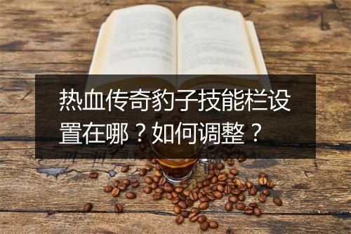 热血传奇豹子技能栏设置在哪？如何调整？