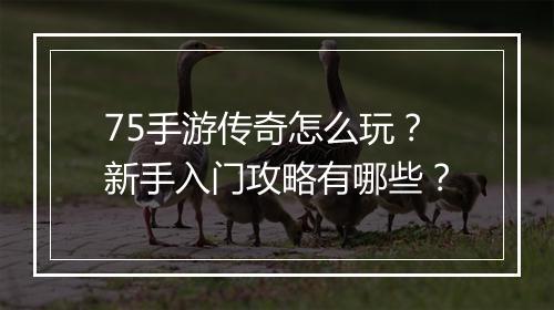 75手游传奇怎么玩？新手入门攻略有哪些？