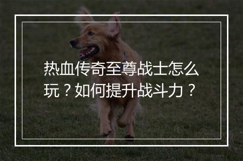 热血传奇至尊战士怎么玩？如何提升战斗力？