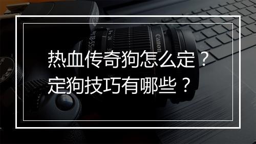 热血传奇狗怎么定？定狗技巧有哪些？