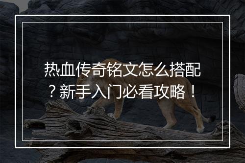 热血传奇铭文怎么搭配？新手入门必看攻略！