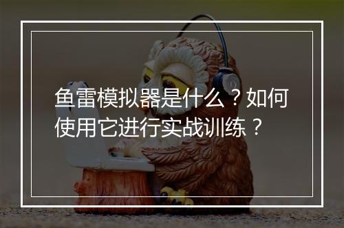 鱼雷模拟器是什么？如何使用它进行实战训练？