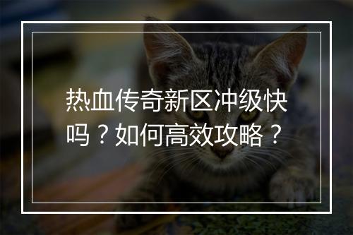 热血传奇新区冲级快吗？如何高效攻略？