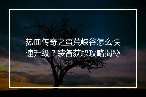 热血传奇之蛮荒峡谷怎么快速升级？装备获取攻略揭秘