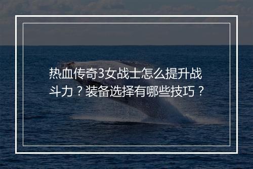 热血传奇3女战士怎么提升战斗力？装备选择有哪些技巧？