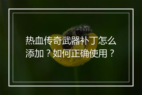 热血传奇武器补丁怎么添加？如何正确使用？