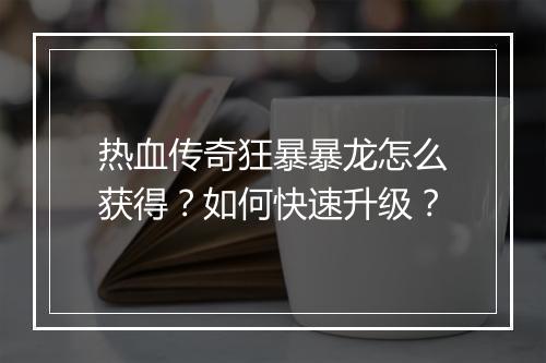 热血传奇狂暴暴龙怎么获得？如何快速升级？