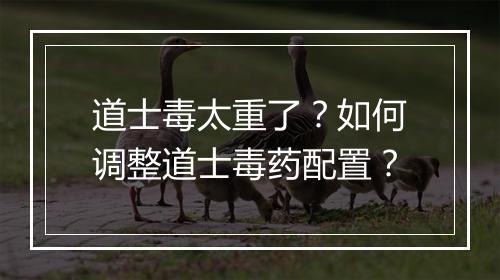 道士毒太重了？如何调整道士毒药配置？