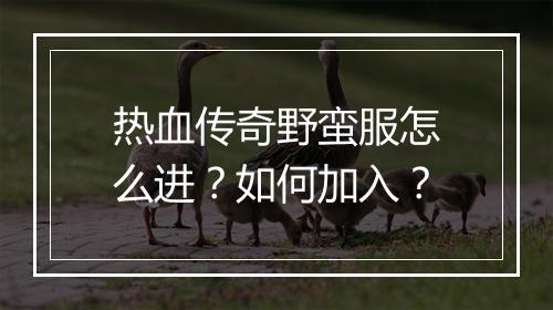 热血传奇野蛮服怎么进？如何加入？