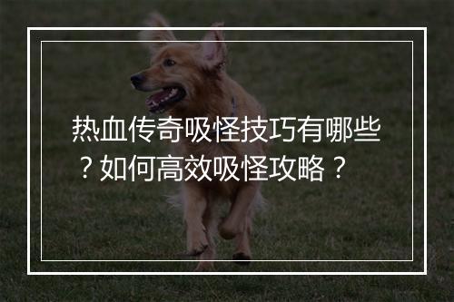 热血传奇吸怪技巧有哪些？如何高效吸怪攻略？