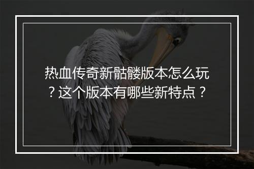 热血传奇新骷髅版本怎么玩？这个版本有哪些新特点？