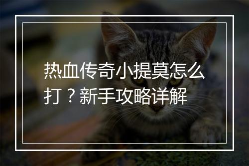 热血传奇小提莫怎么打？新手攻略详解