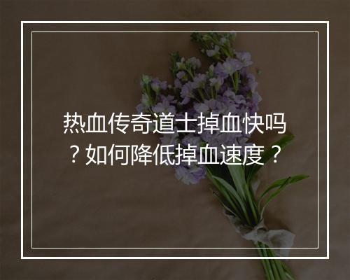 热血传奇道士掉血快吗？如何降低掉血速度？
