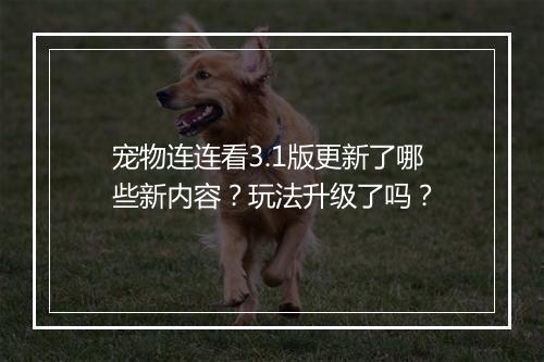宠物连连看3.1版更新了哪些新内容？玩法升级了吗？