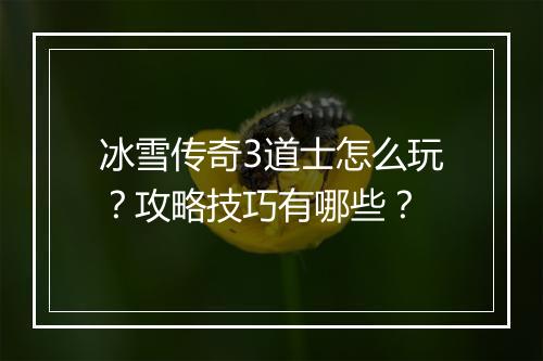 冰雪传奇3道士怎么玩？攻略技巧有哪些？