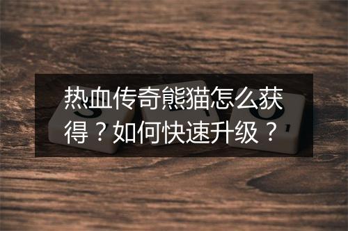 热血传奇熊猫怎么获得？如何快速升级？